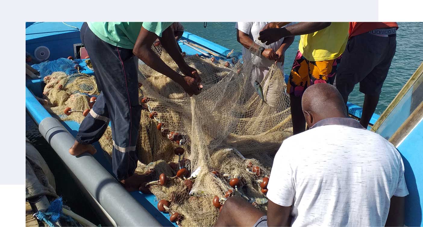 groupe de pécheurs de poisson en Guadeloupe marie galante kreyol fish